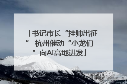 书记市长“挂帅出征” 杭州催动“小龙们”向AI高地进发