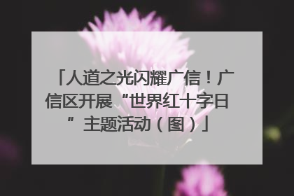 人道之光闪耀广信！广信区开展“世界红十字日”主题活动（图）