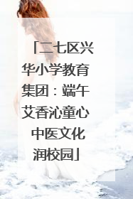 二七区兴华小学教育集团：端午艾香沁童心 中医文化润校园