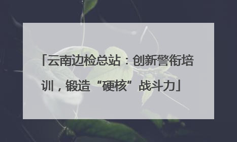 云南边检总站：创新警衔培训，锻造“硬核”战斗力