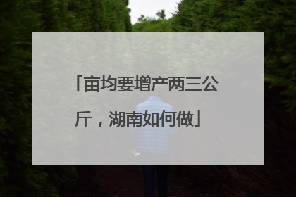 亩均要增产两三公斤，湖南如何做