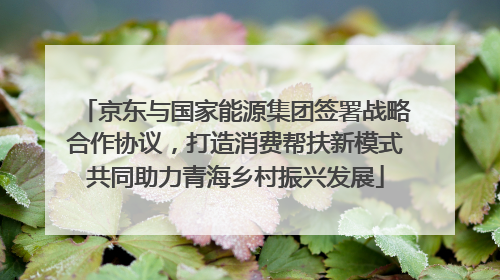 京东与国家能源集团签署战略合作协议，打造消费帮扶新模式共同助力青海乡村振兴发展