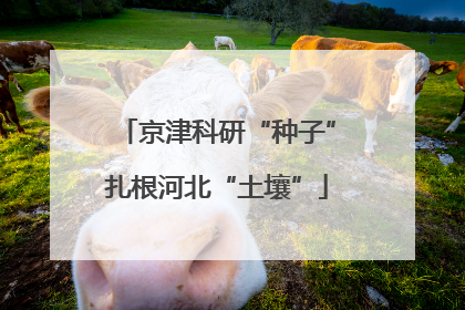 京津科研“种子”扎根河北“土壤”