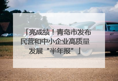 亮成绩！青岛市发布民营和中小企业高质量发展“半年报”