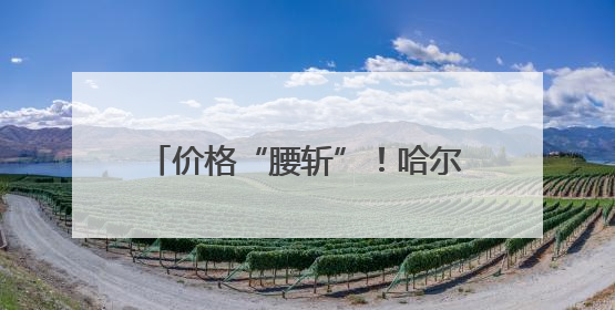 价格“腰斩”！哈尔滨人实现“荔枝自由”，日均消费100吨