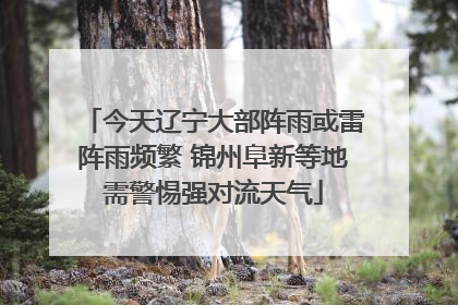 今天辽宁大部阵雨或雷阵雨频繁 锦州阜新等地需警惕强对流天气