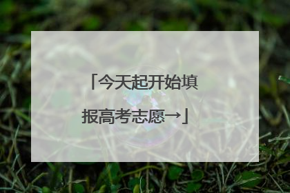 今天起开始填报高考志愿→