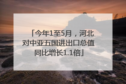 今年1至5月，河北对中亚五国进出口总值同比增长1.1倍