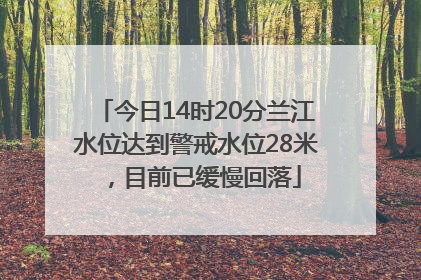 今日14时20分兰江水位达到警戒水位28米，目前已缓慢回落