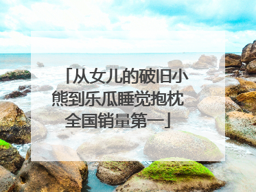 从女儿的破旧小熊到乐瓜睡觉抱枕全国销量第一