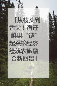 从枝头到舌尖！宿迁鲜果“链”起采摘经济绘就农旅融合新图景