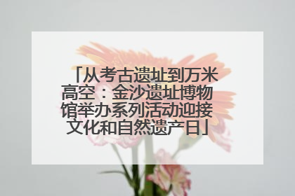 从考古遗址到万米高空：金沙遗址博物馆举办系列活动迎接文化和自然遗产日