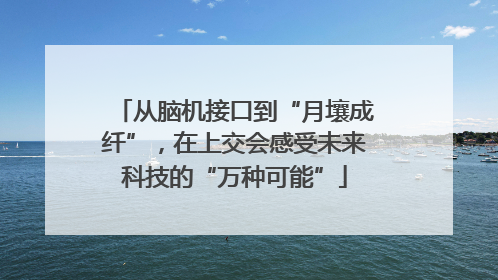 从脑机接口到“月壤成纤”，在上交会感受未来科技的“万种可能”
