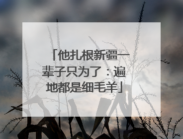 他扎根新疆一辈子只为了：遍地都是细毛羊