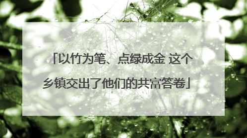 以竹为笔、点绿成金 这个乡镇交出了他们的共富答卷