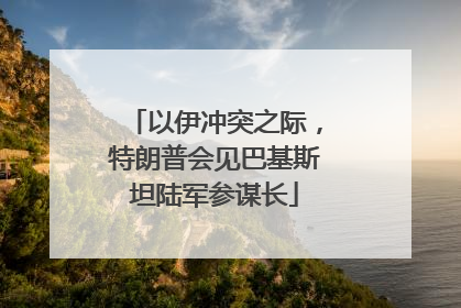 以伊冲突之际，特朗普会见巴基斯坦陆军参谋长