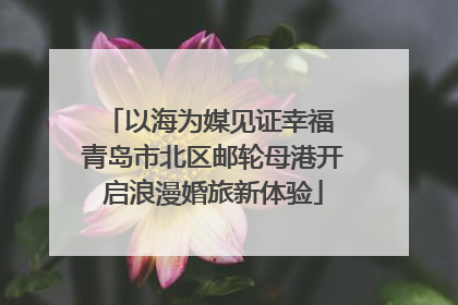 以海为媒见证幸福 青岛市北区邮轮母港开启浪漫婚旅新体验