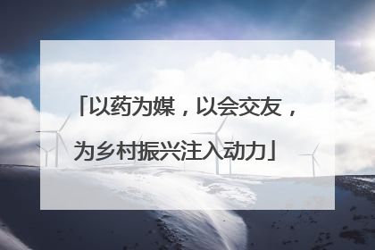 以药为媒，以会交友，为乡村振兴注入动力