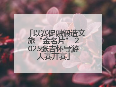 以赛促融锻造文旅“金名片” 2025张吉怀导游大赛开赛