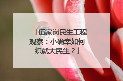 伍家岗民生工程观察：小确幸如何织就大民生？
