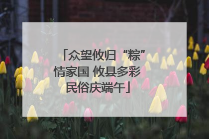 众望攸归“粽”情家国 攸县多彩民俗庆端午