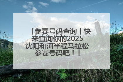 参赛号码查询丨快来查询你的2025沈阳和河半程马拉松参赛号码吧！