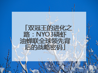 双冠王的进化之路：NYO3磷虾油蝉联全球领先背后的战略密码