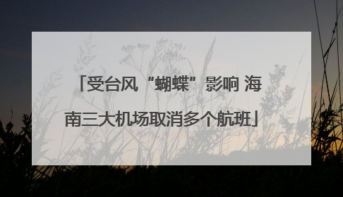 受台风“蝴蝶”影响 海南三大机场取消多个航班