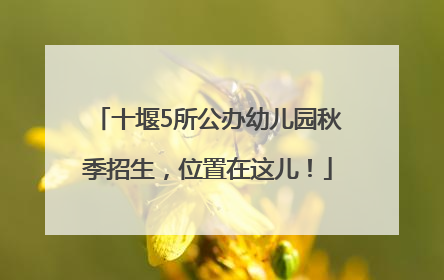 十堰5所公办幼儿园秋季招生，位置在这儿！