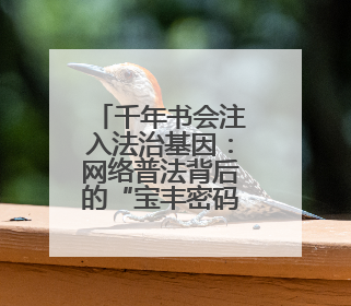 千年书会注入法治基因：网络普法背后的“宝丰密码”