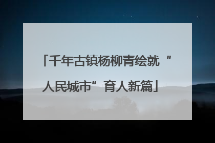 千年古镇杨柳青绘就“人民城市”育人新篇