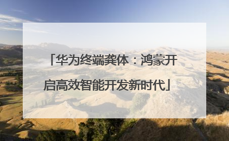 华为终端龚体：鸿蒙开启高效智能开发新时代
