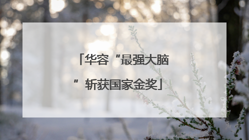 华容“最强大脑”斩获国家金奖