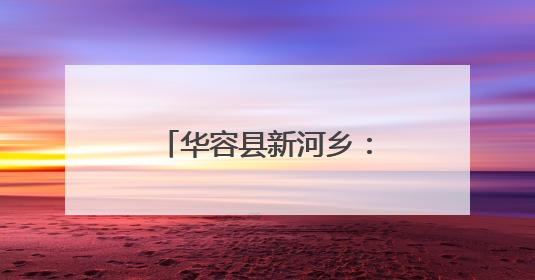 华容县新河乡：粽叶飘香传温情 走访慰问暖人心