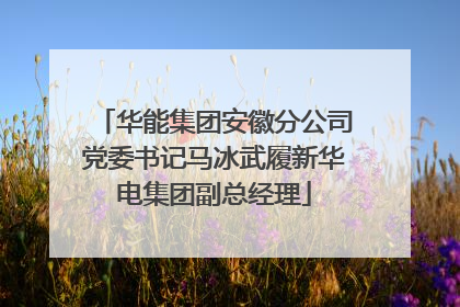 华能集团安徽分公司党委书记马冰武履新华电集团副总经理