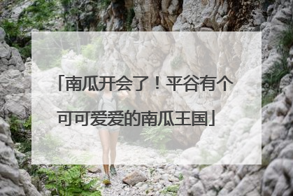 南瓜开会了！平谷有个可可爱爱的南瓜王国