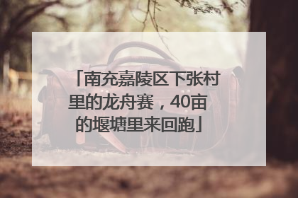 南充嘉陵区下张村里的龙舟赛，40亩的堰塘里来回跑