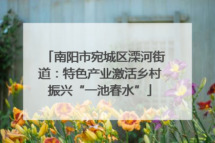 南阳市宛城区溧河街道：特色产业激活乡村振兴“一池春水”