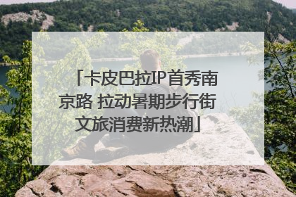 卡皮巴拉IP首秀南京路 拉动暑期步行街文旅消费新热潮