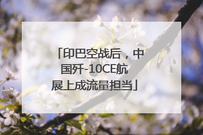 印巴空战后，中国歼-10CE航展上成流量担当