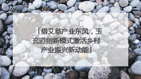 借艾草产业东风，玉玄道创新模式激活乡村产业振兴新动能