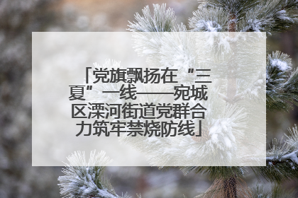 党旗飘扬在“三夏”一线——宛城区溧河街道党群合力筑牢禁烧防线