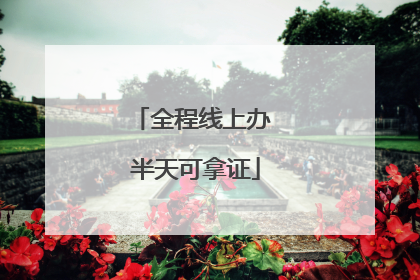 全程线上办 半天可拿证