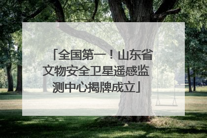 全国第一！山东省文物安全卫星遥感监测中心揭牌成立