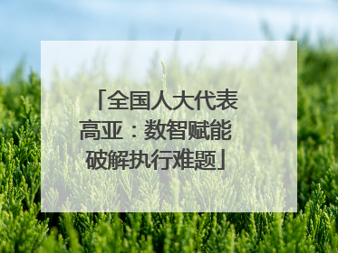 全国人大代表高亚：数智赋能破解执行难题