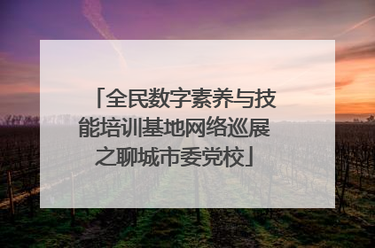 全民数字素养与技能培训基地网络巡展之聊城市委党校