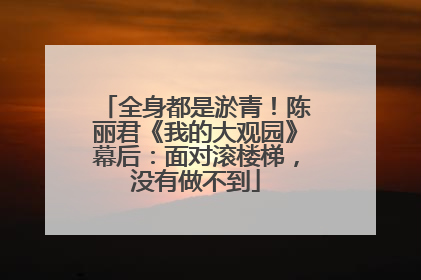 全身都是淤青！陈丽君《我的大观园》幕后：面对滚楼梯，没有做不到