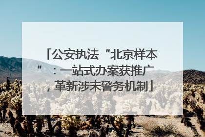 公安执法“北京样本”：一站式办案获推广，革新涉未警务机制