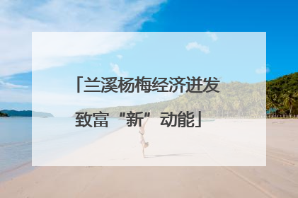 兰溪杨梅经济迸发致富“新”动能