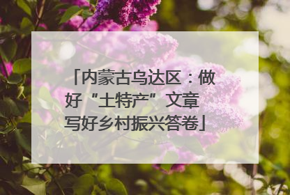 内蒙古乌达区：做好“土特产”文章 写好乡村振兴答卷